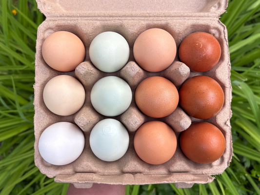 Farm Fresh Eggs